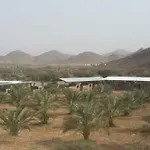 مزرعة واسطبل الريان للخيل العربية الأصيلة