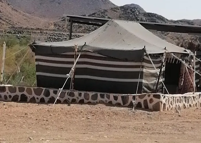 مزرعة واسطبل الريان للخيل العربية الأصيلة