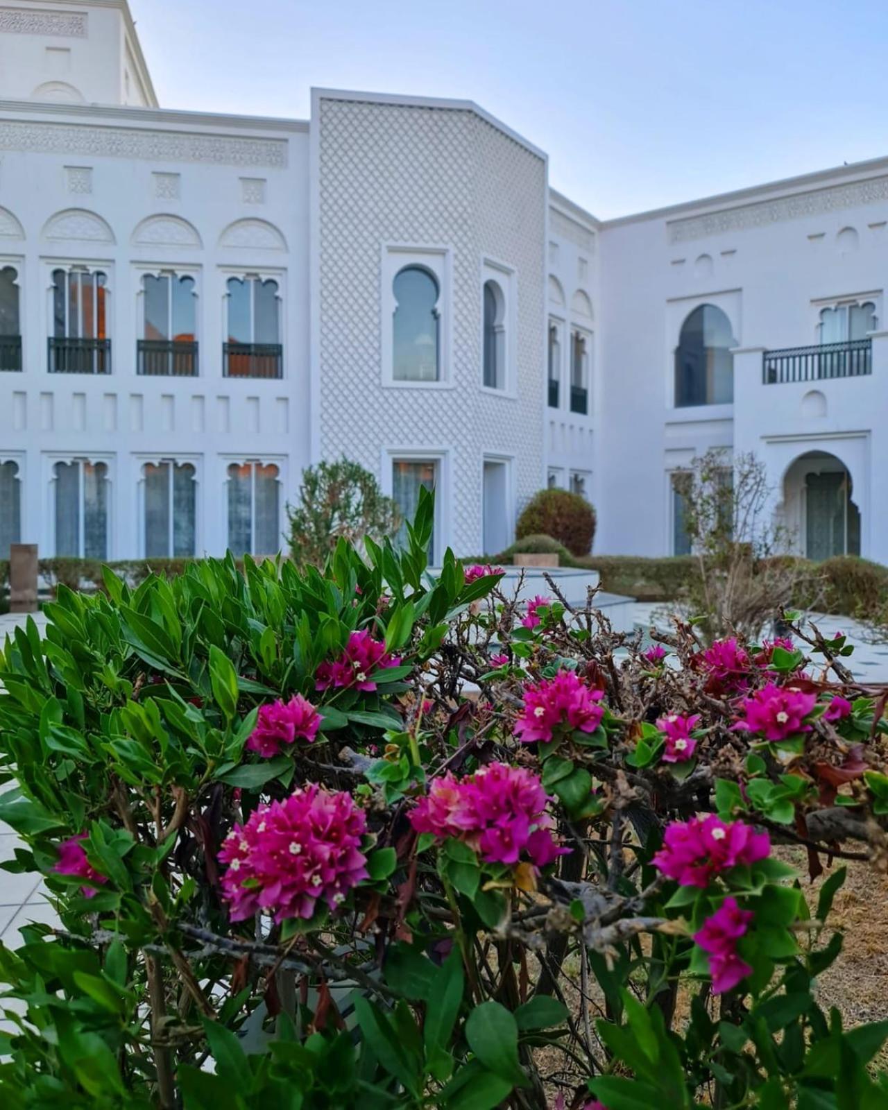 Farm stay Beit Al-madina *