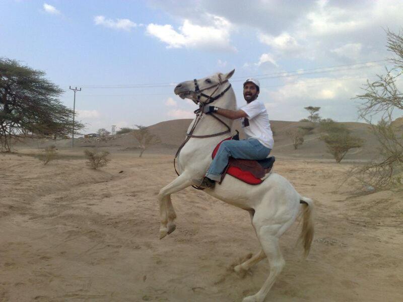 مزرعة واسطبل الريان للخيل العربية الأصيلة *