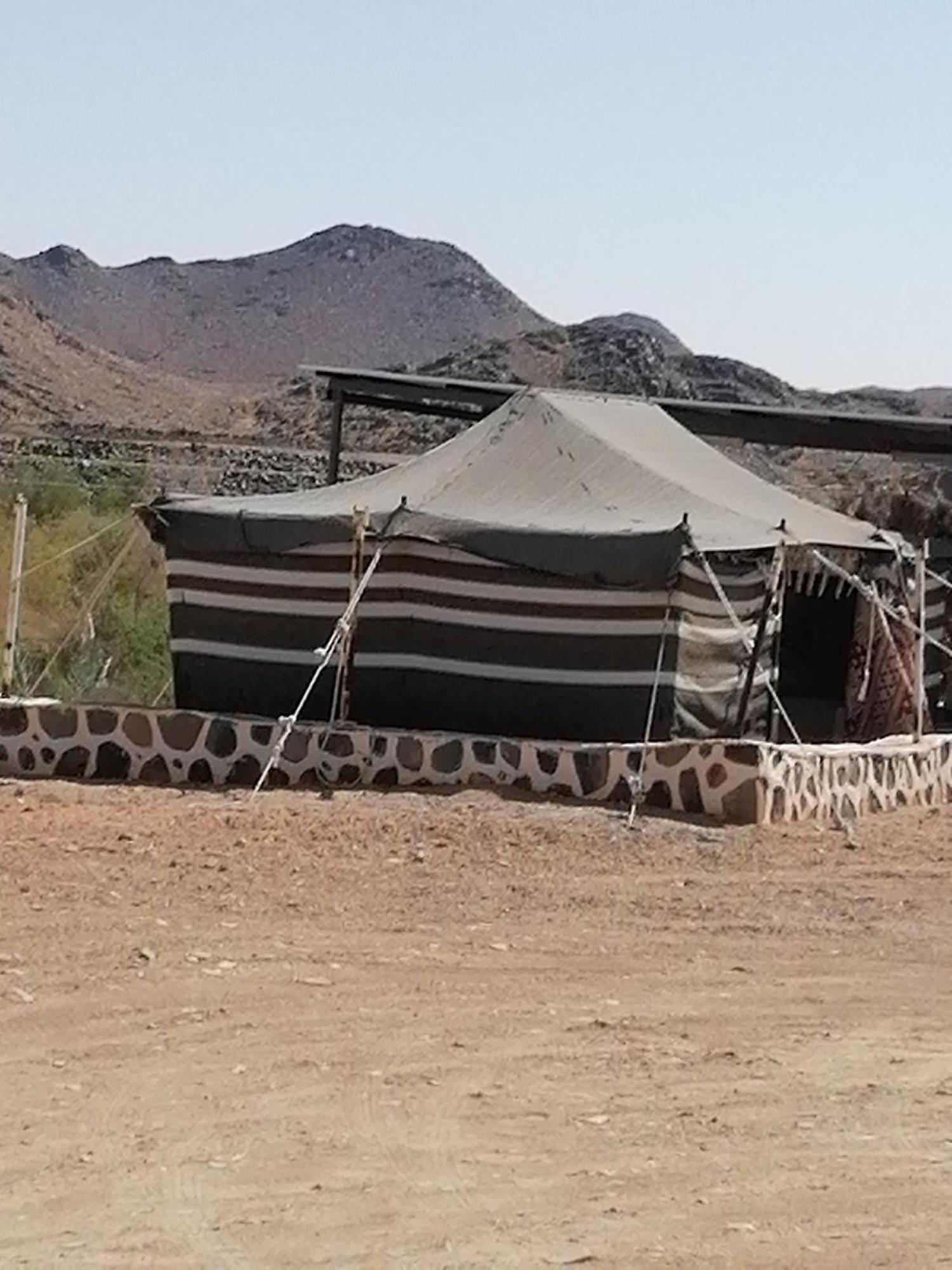 Campsite مزرعة واسطبل الريان للخيل العربية الأصيلة *