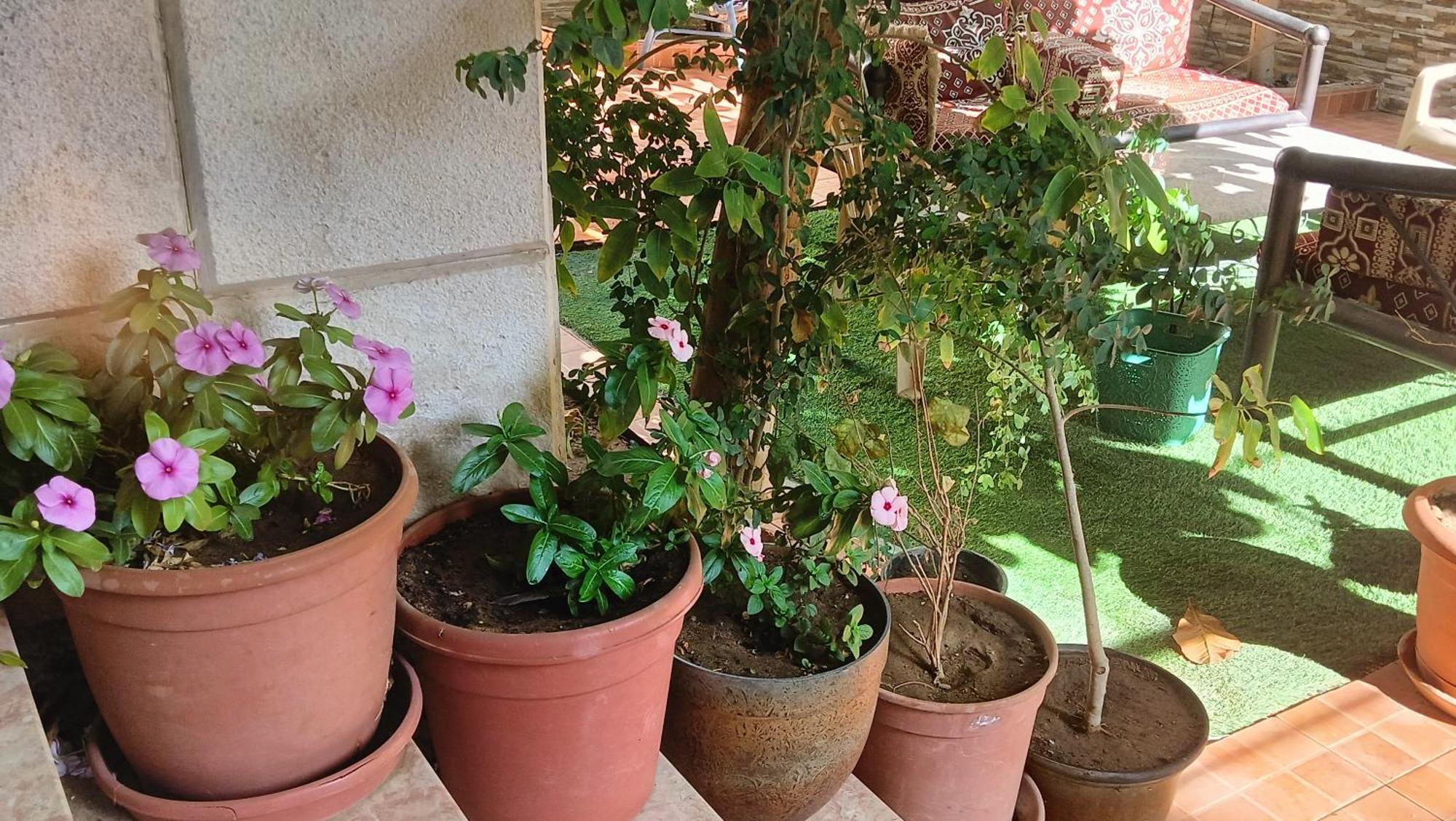 سوما للشقق المفروشة Apartment *