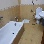 اجنحه الشام