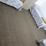 شقة صغيرة