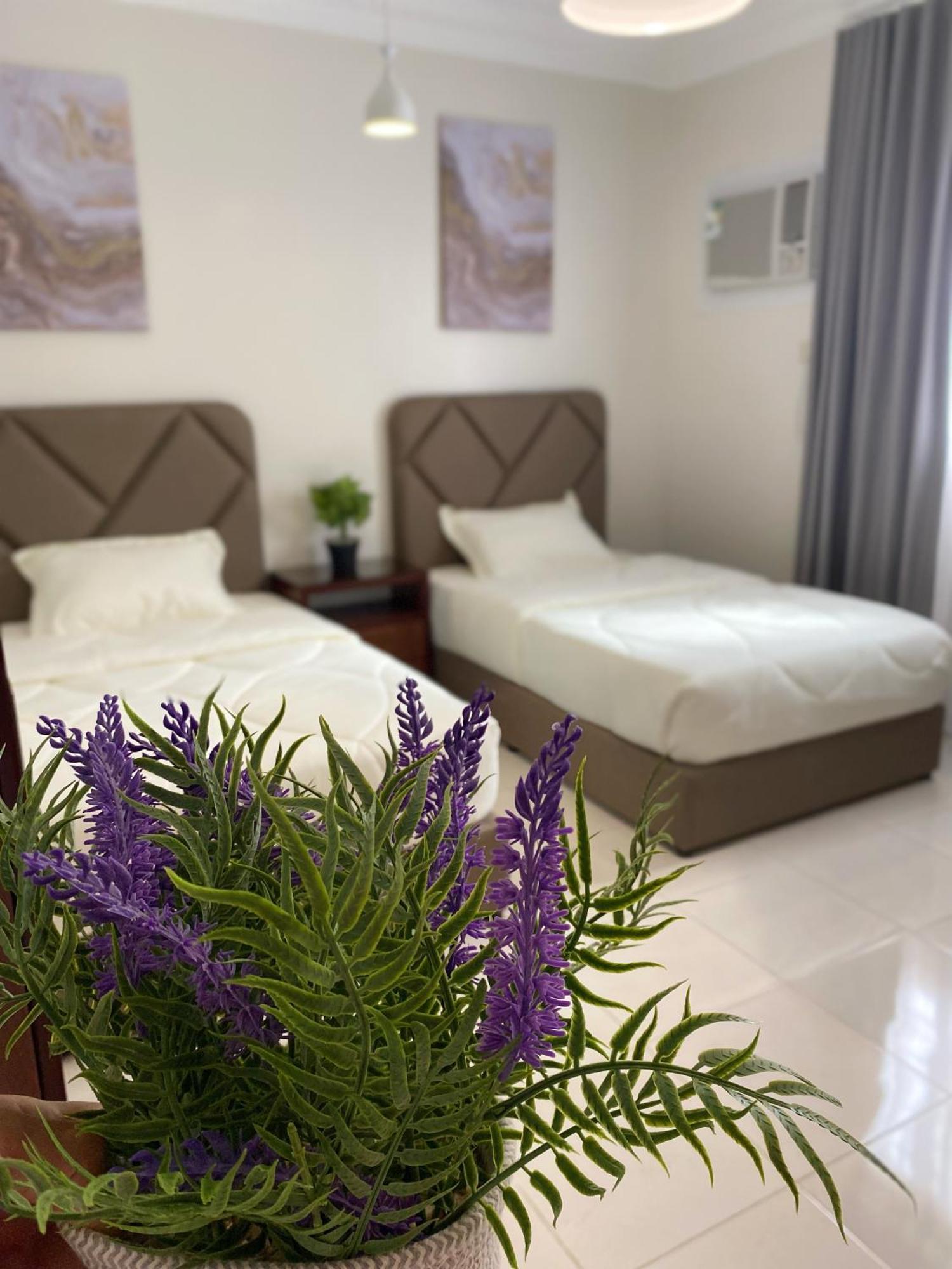 التوحيد Apartment