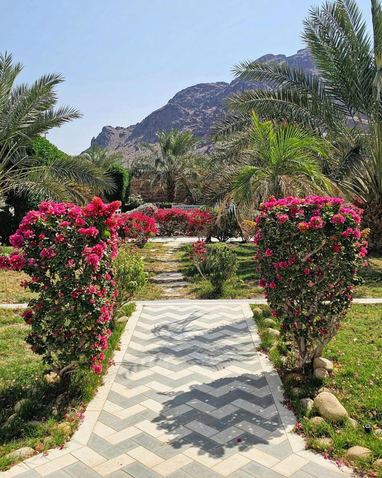 Farm stay Beit Al-madina *