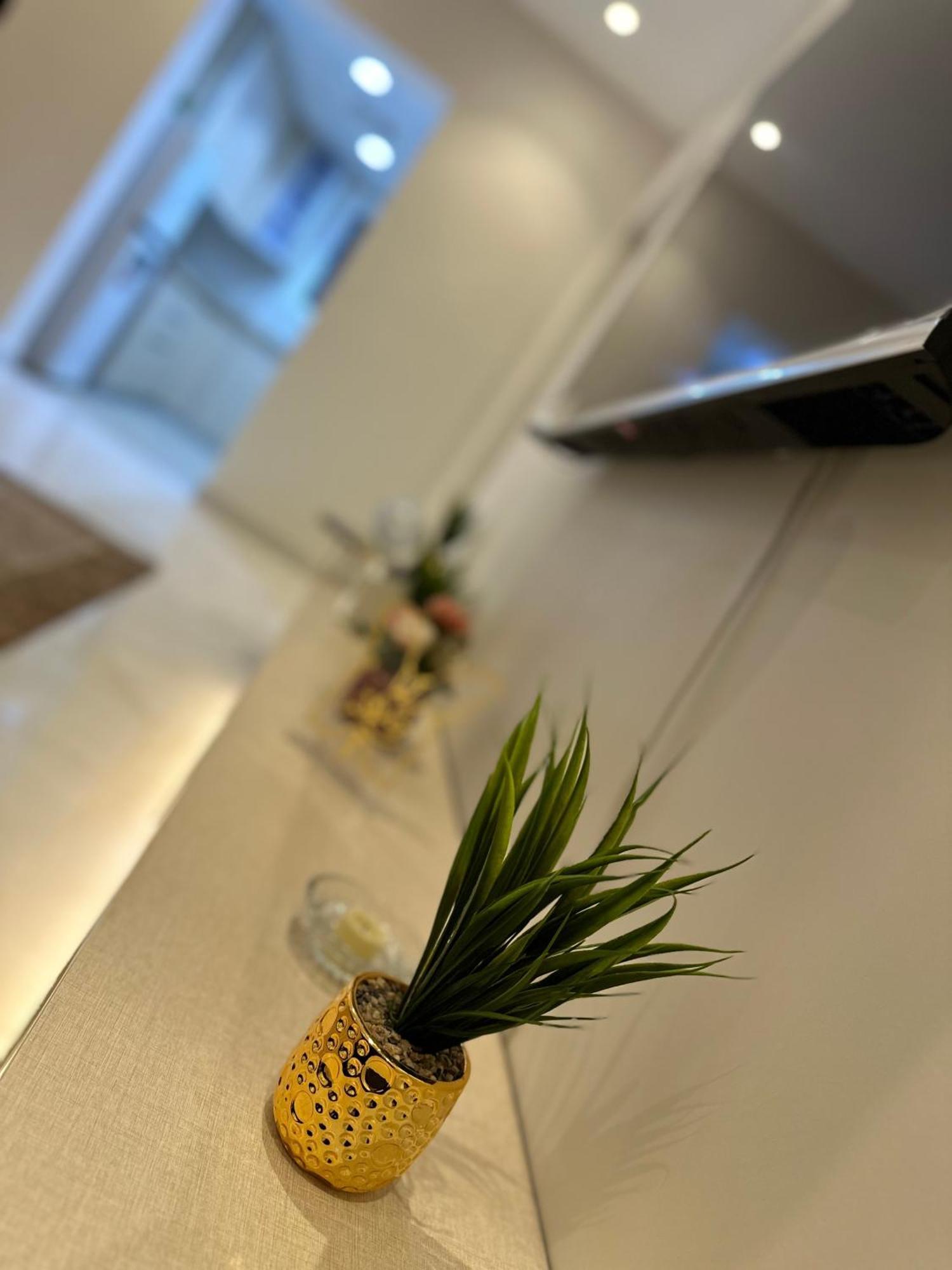 Roma House Apartment Medina