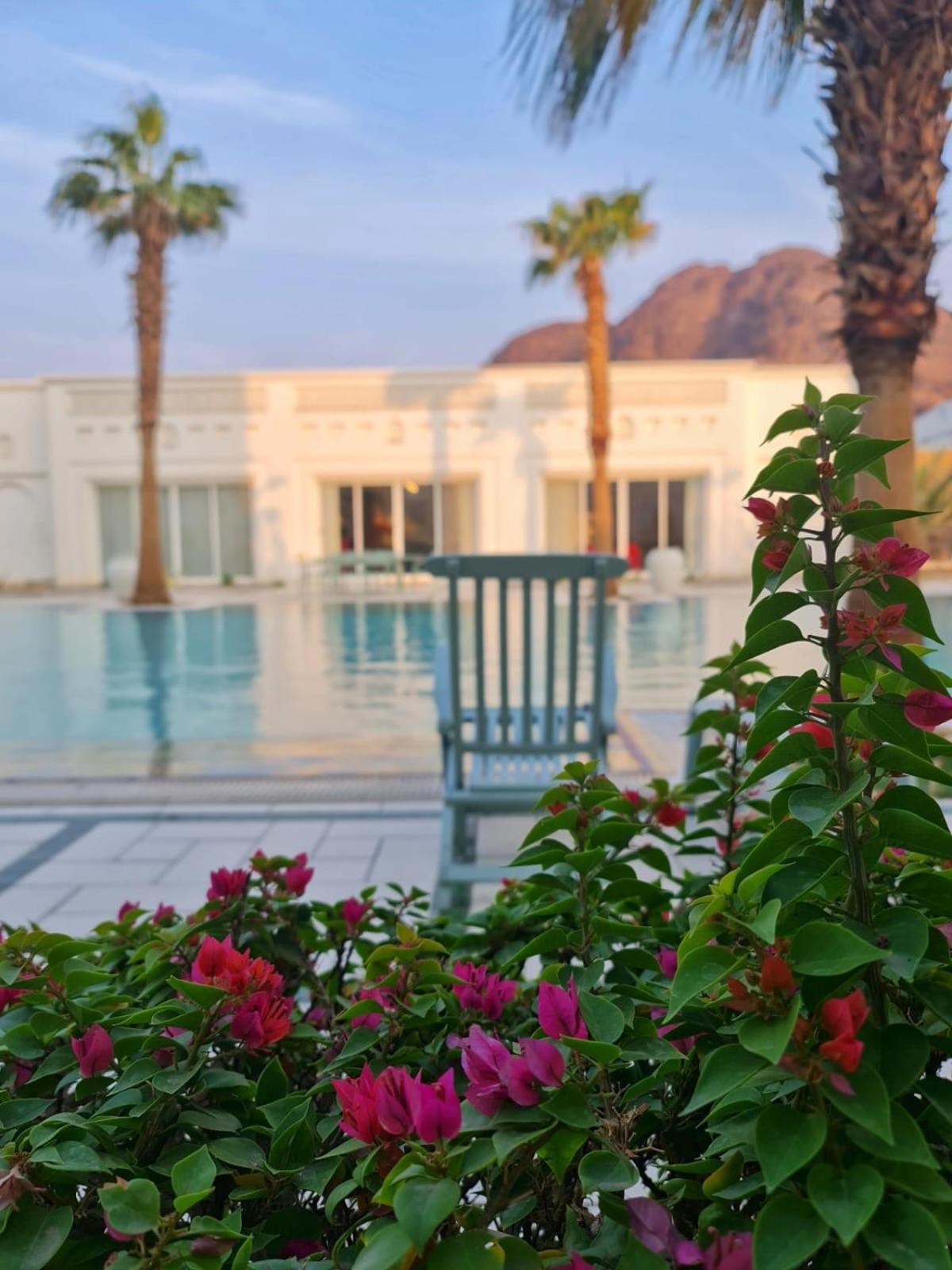 Farm stay Beit Al-madina