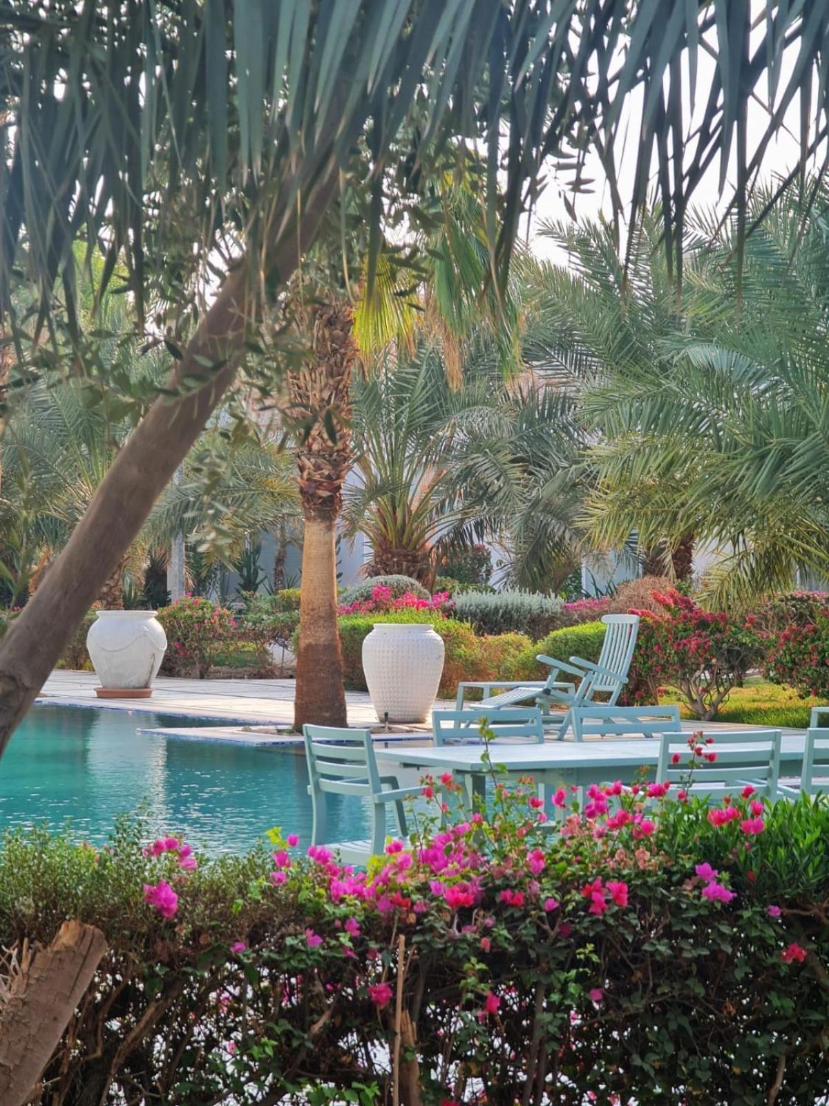 Farm stay Beit Al-madina