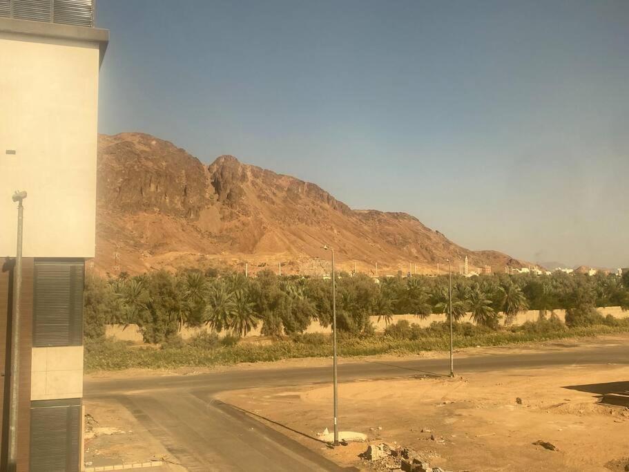 ايلاف طيبة