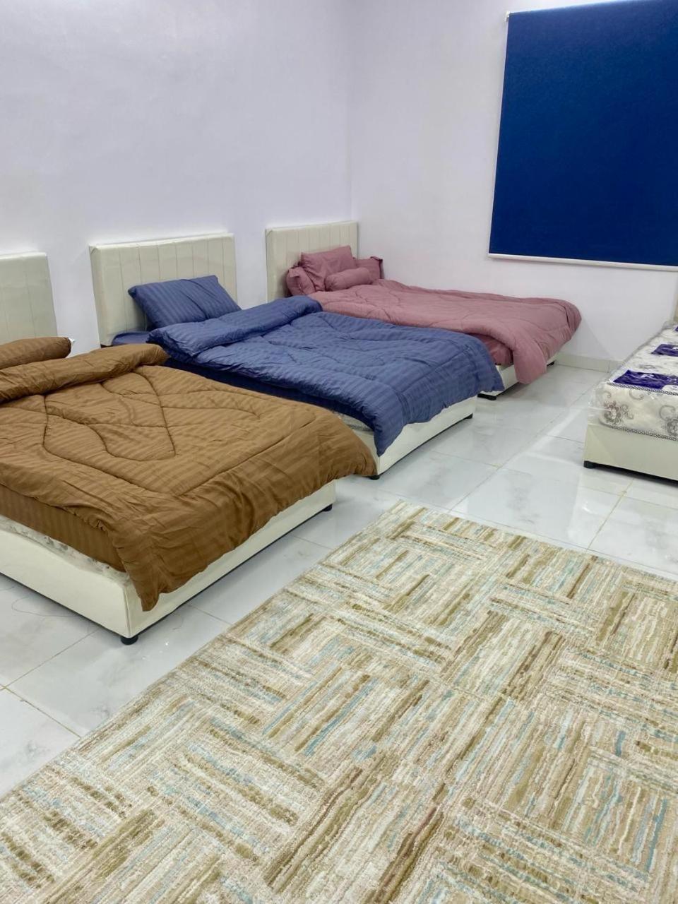 Apartment شقة ٢ *