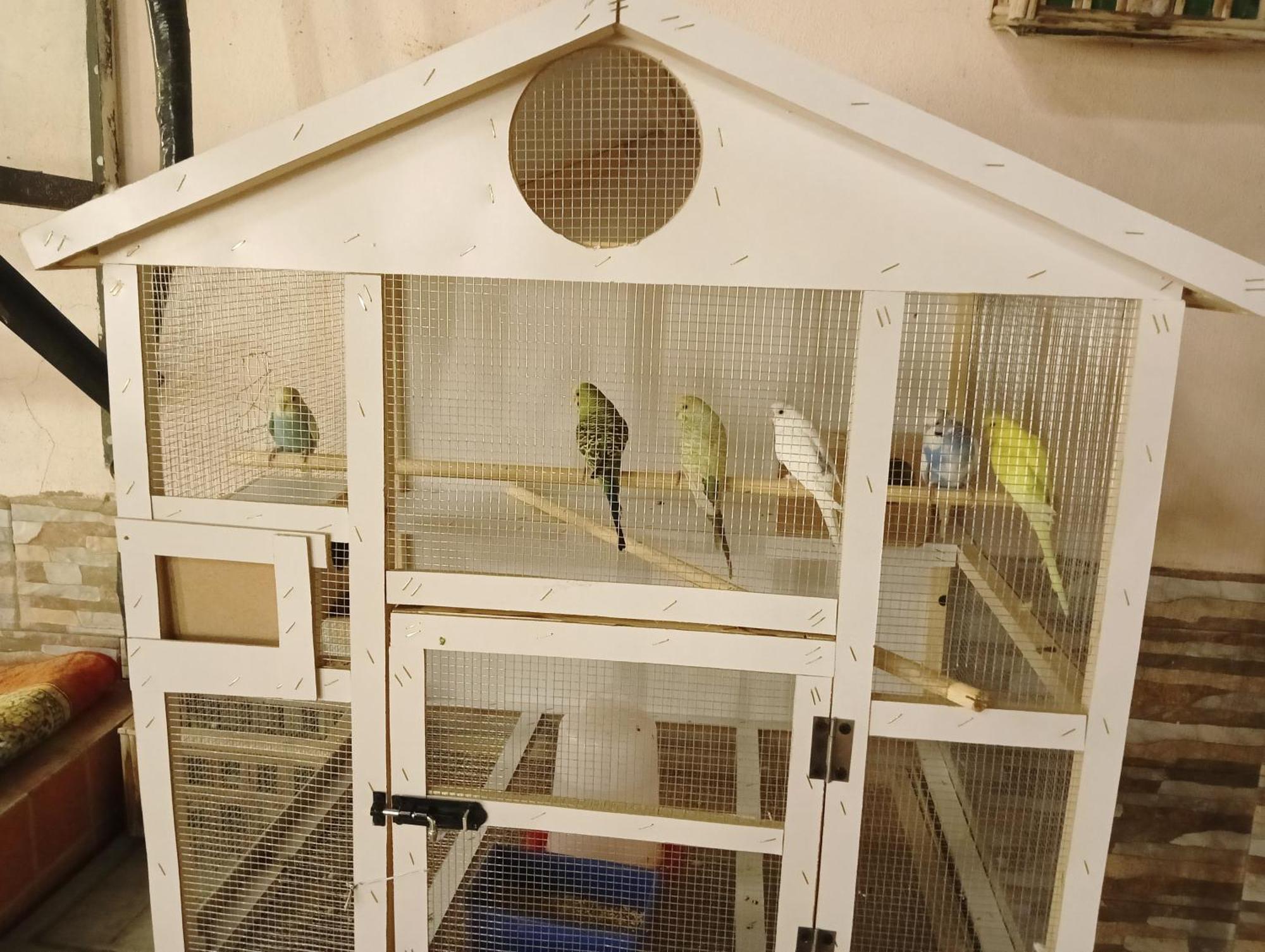 Apartment سوما للشقق المفروشة Medina