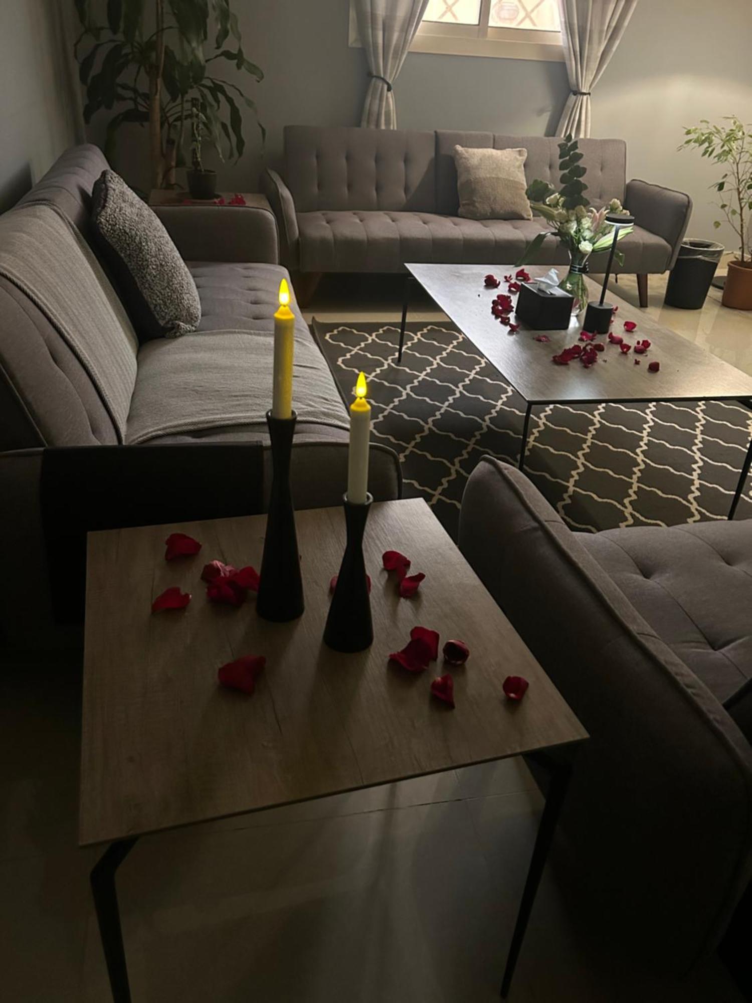 Apartment Homey *